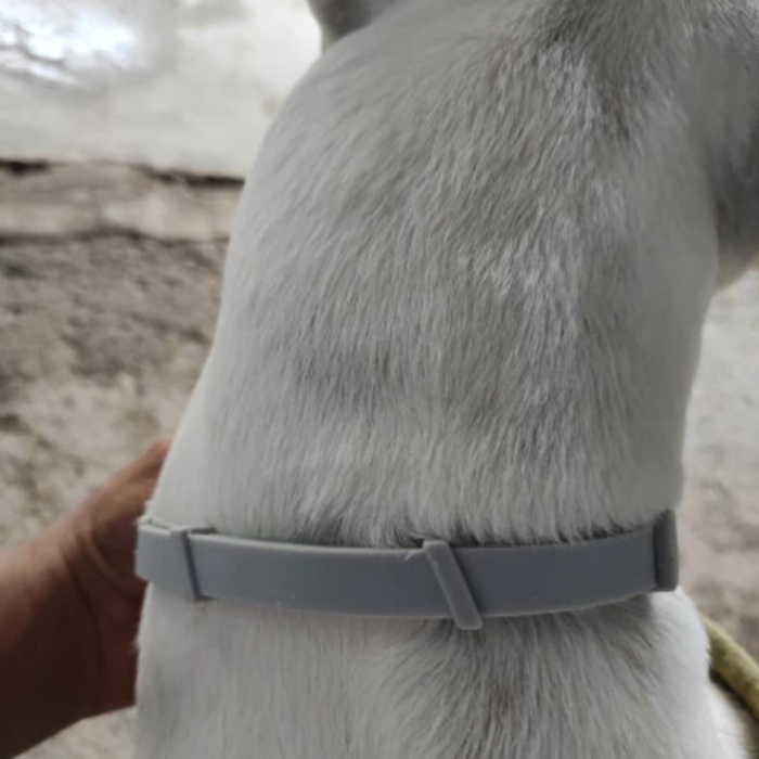 AnimalProtect, obroża przeciw kleszczom i pchłom dla psów - Image 2