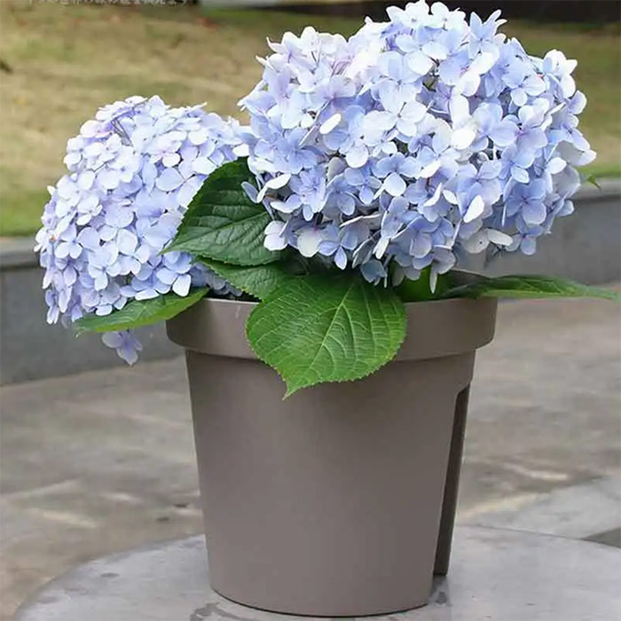 BalconyPots, doniczki balkonowe (2 sztuki) - Image 4