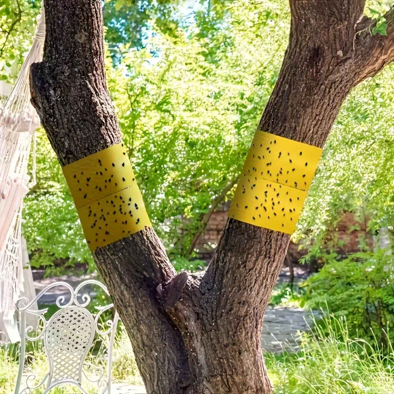 BarrierTape, taśma klejąca do łapania owadów - Image 3