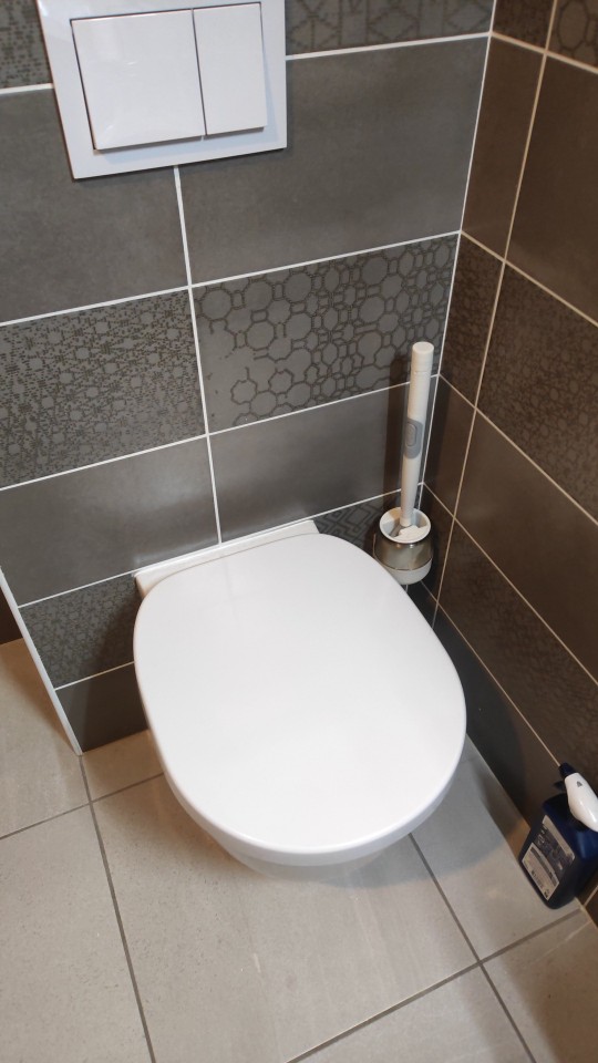 BestBrush, rewolucyjna szczotka do toalety z przyciskiem dozującym środek czyszczący - Image 10