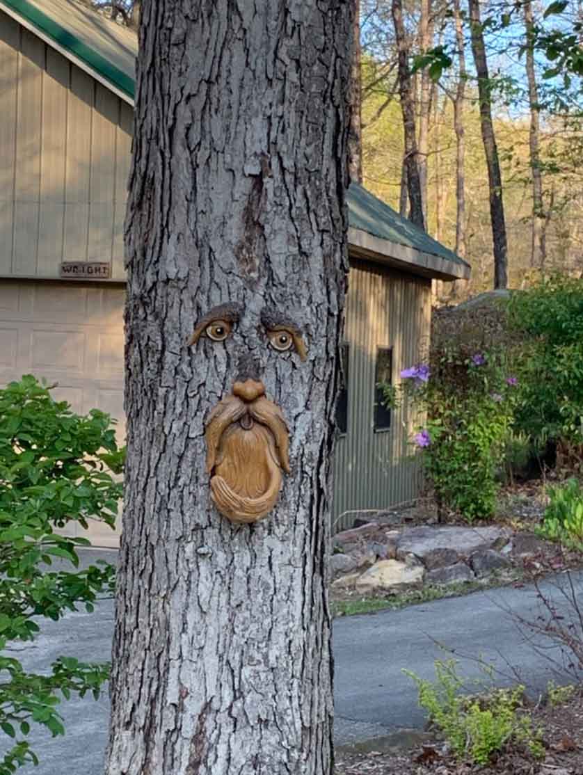 BirdFeeder, ozdoba drzewa w kształcie twarzy, która jest również karmnikiem dla ptaków - Image 8