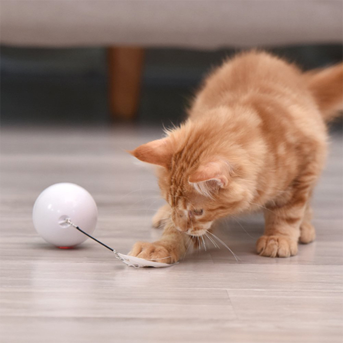 CatToy, zabawka dla kota, który ucieka i macha piórkiem - Image 2