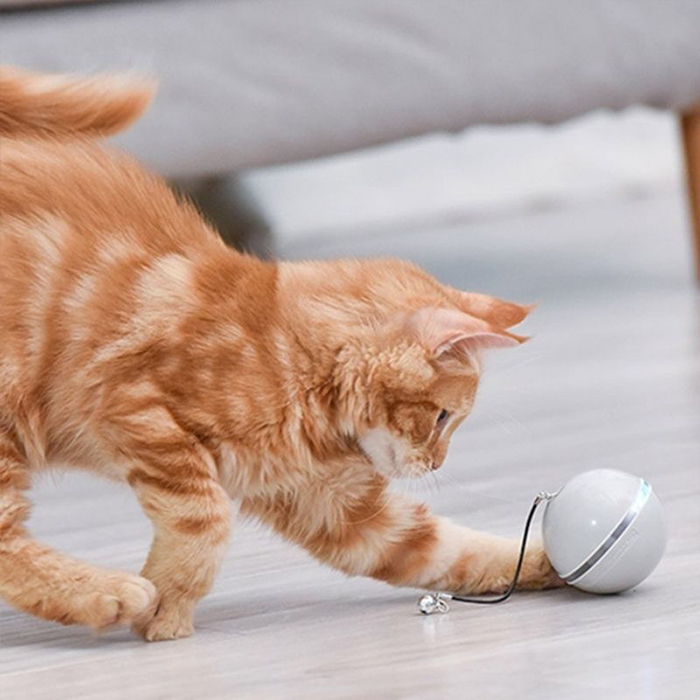 CatToy, zabawka dla kota, który ucieka i macha piórkiem - Image 3