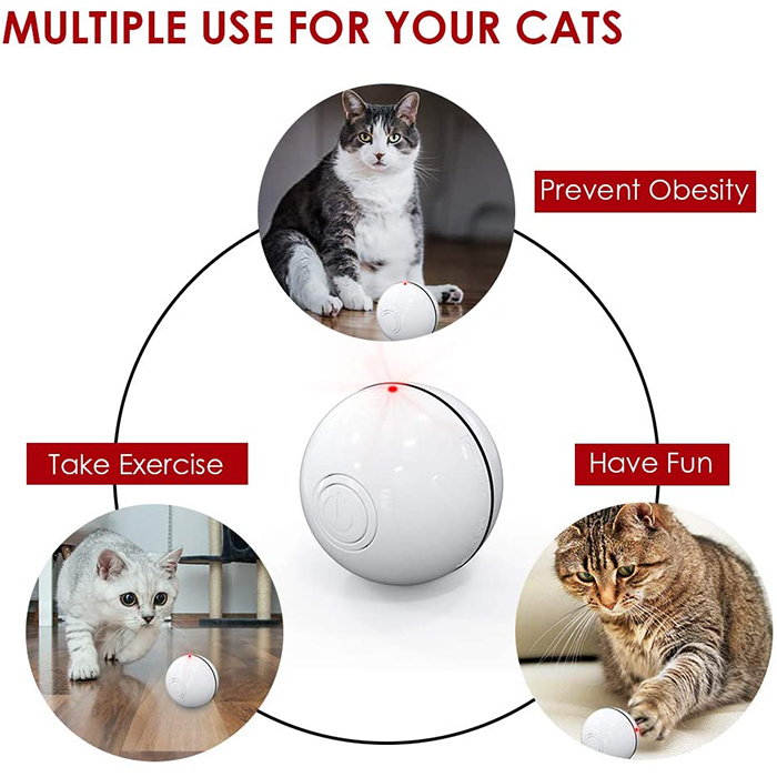 CatToy, zabawka dla kota, który ucieka i macha piórkiem - Image 6
