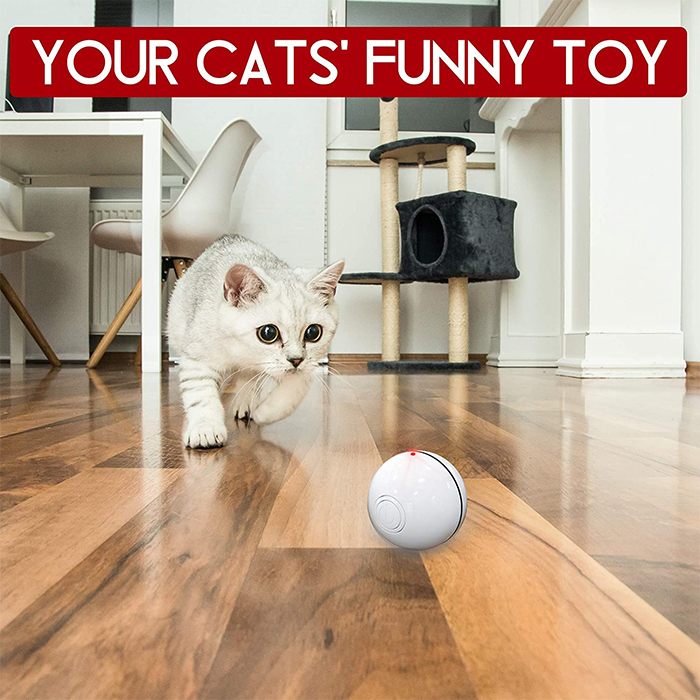 CatToy, zabawka dla kota, który ucieka i macha piórkiem - Image 7