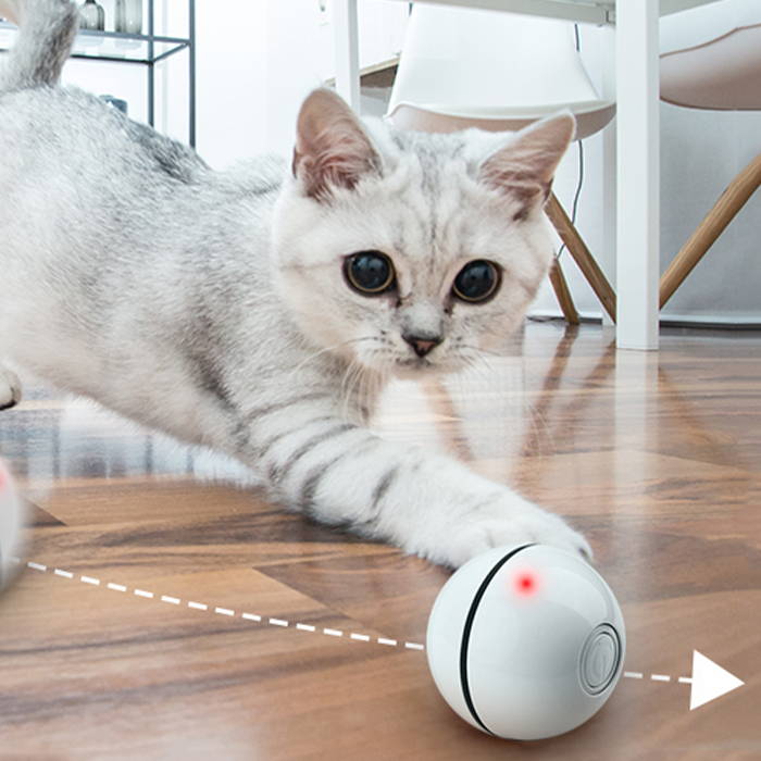 CatToy, zabawka dla kota, który ucieka i macha piórkiem - Image 10