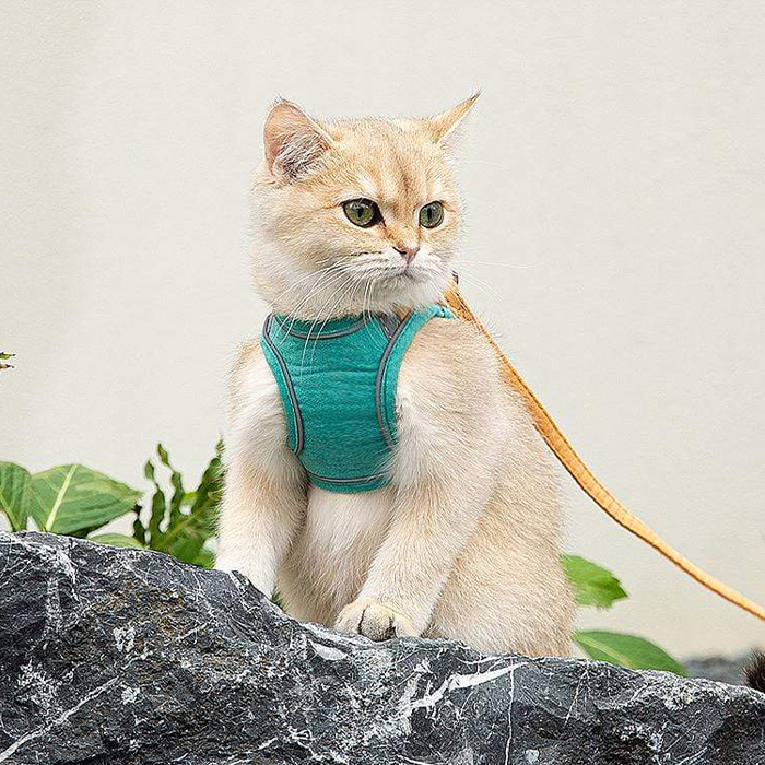 CatVest, smycz z uprzężą dla kota - Image 3
