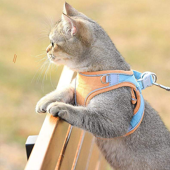 CatVest, smycz z uprzężą dla kota - Image 4