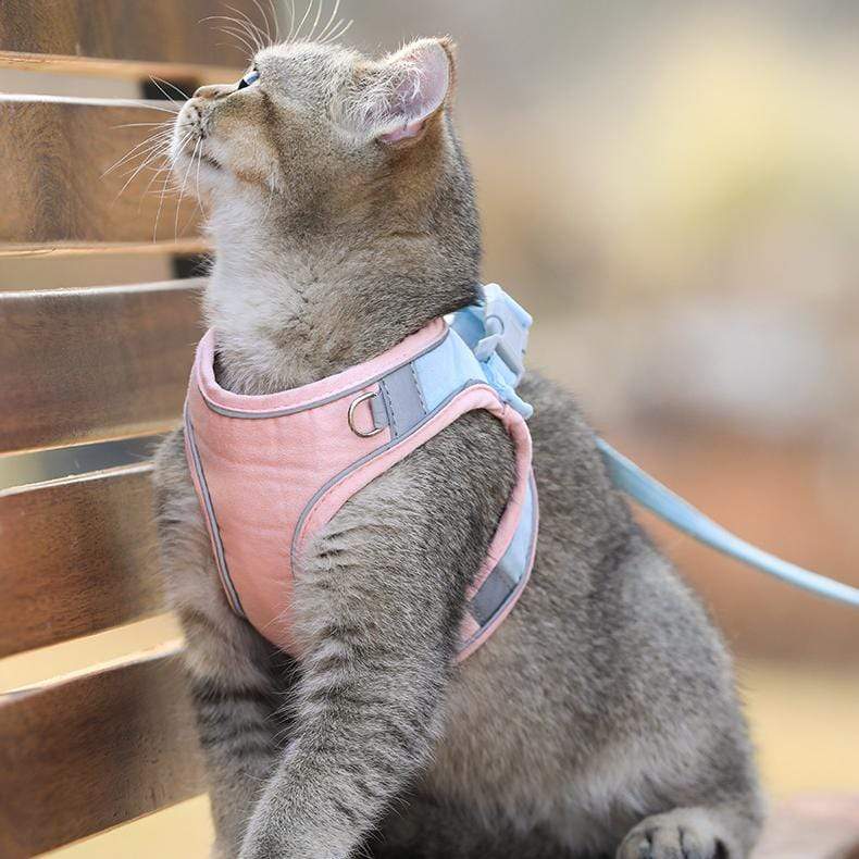 CatVest, smycz z uprzężą dla kota - Image 5
