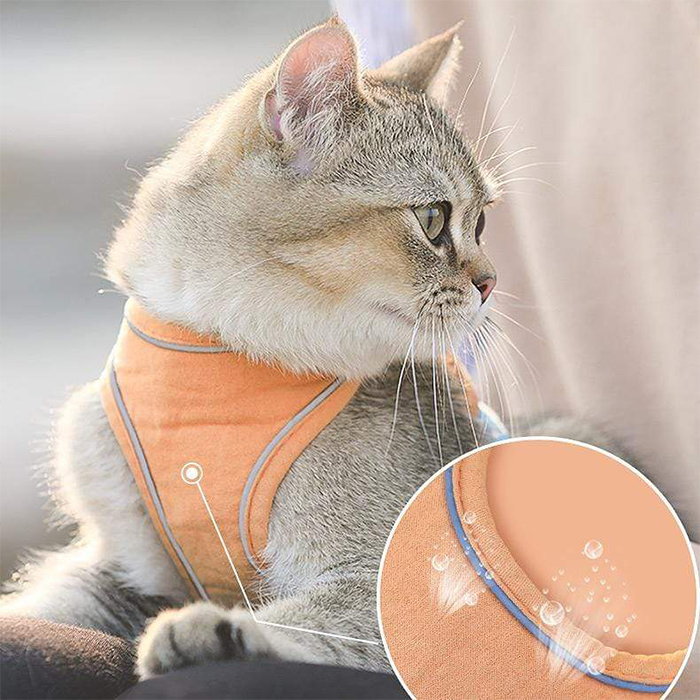 CatVest, smycz z uprzężą dla kota - Image 9