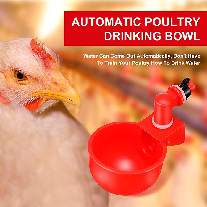 ChickenBowl, poidło dla kur i innego drobiu (6 sztuk) - Image 4