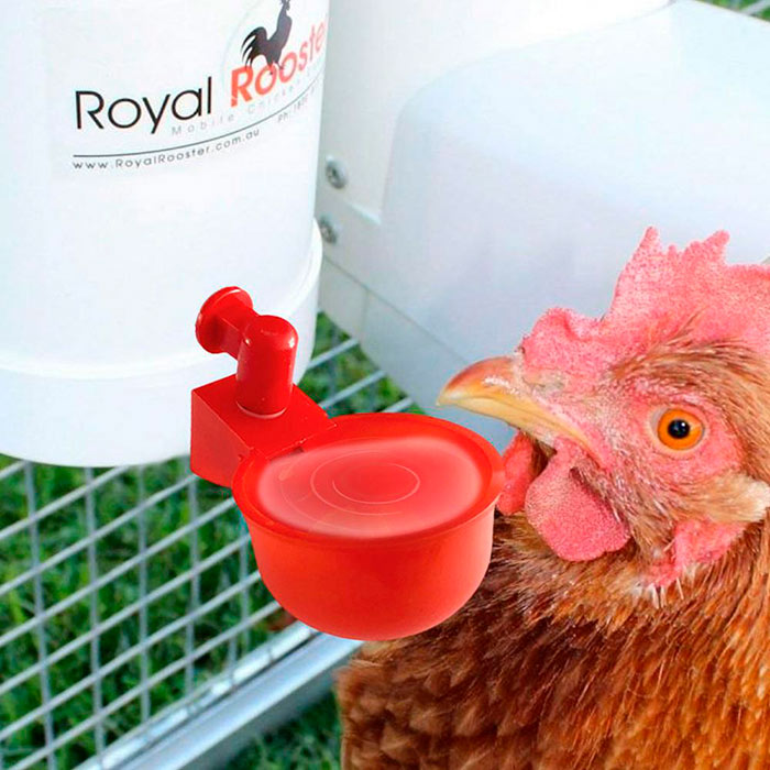 ChickenBowl, poidło dla kur i innego drobiu (6 sztuk) - Image 9