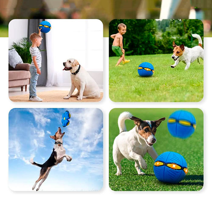 DiskBall, zabawka dla psów, która jest zarówno frisbee, jak i piłką - Image 7