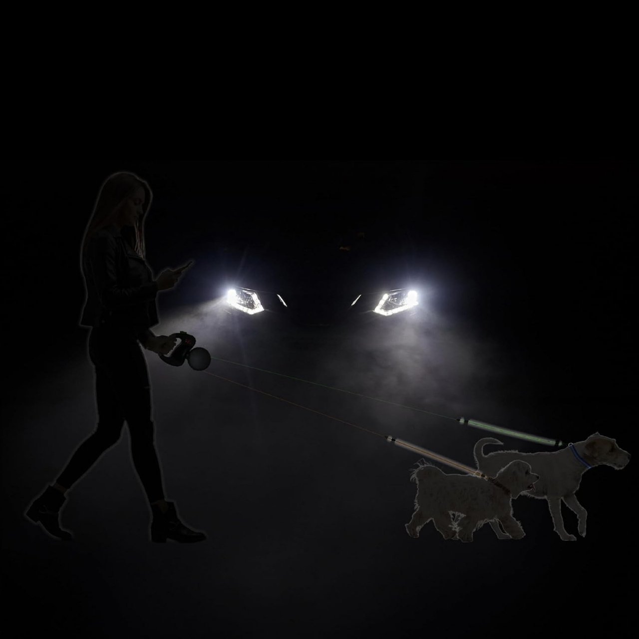 DoubleLeash, smycz automatyczna dla dwóch psów - Image 9