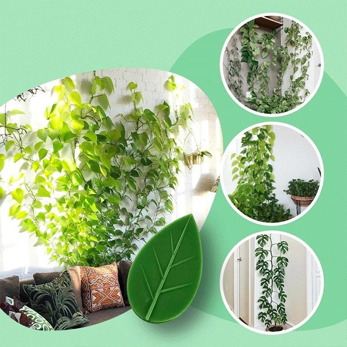 FixtureClips, 10 + 10 GRATIS samoprzylepnych uchwytów do gałęzi roślin - bez wiercenia! - Image 6