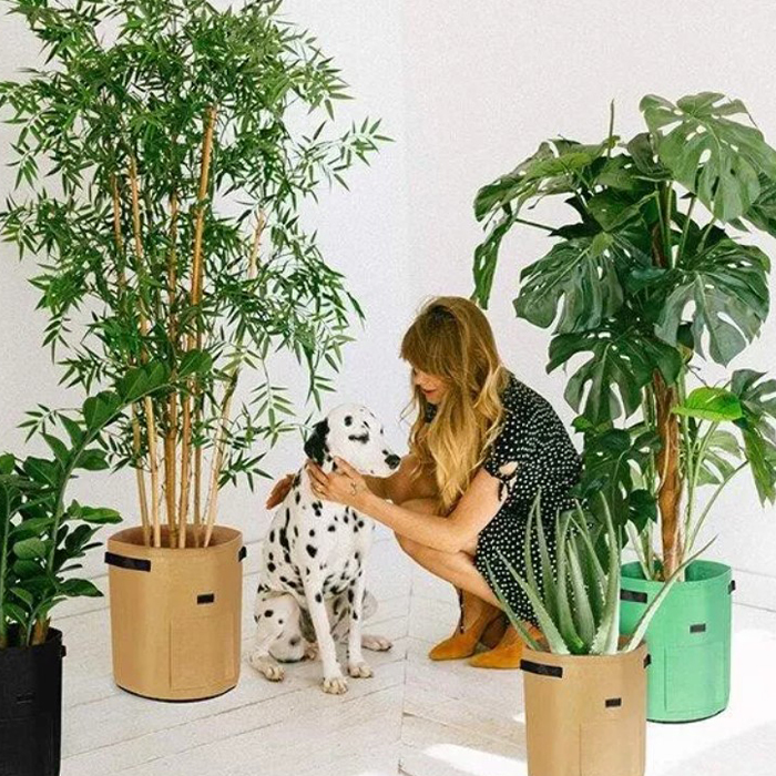 FoldingGarden, przenośna rabatka ogrodowa z tkaniny 26L - Image 3