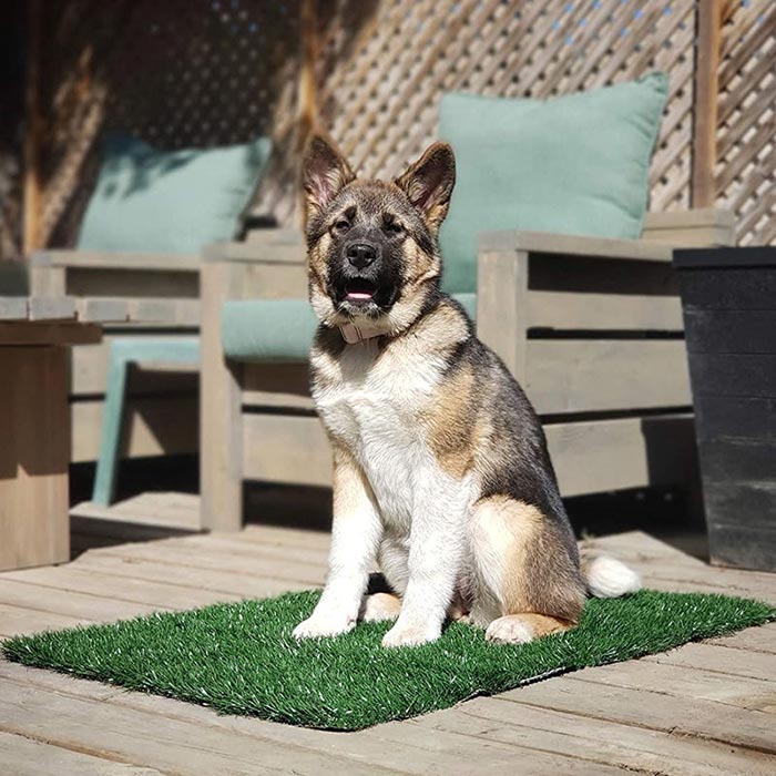 GrassMat, mata o wyglądzie naturalnej trawy - Image 5