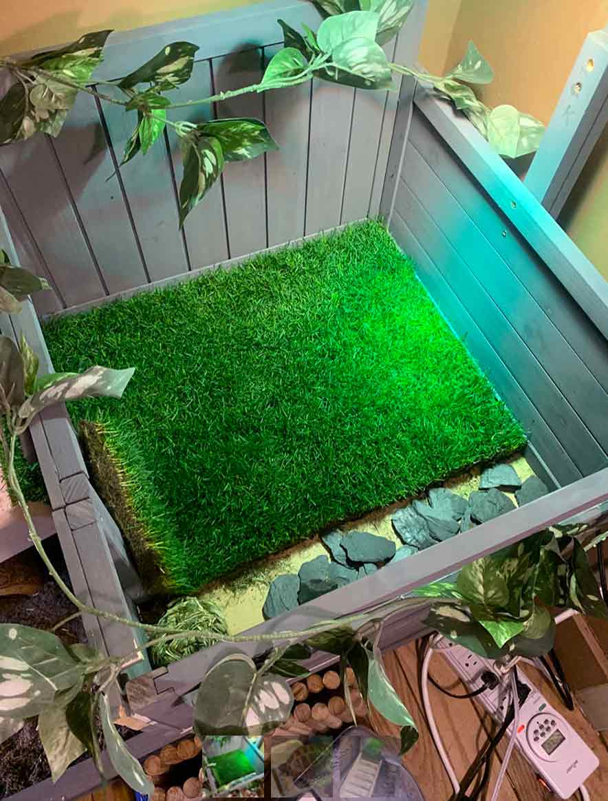 GrassMat, mata o wyglądzie naturalnej trawy - Image 10