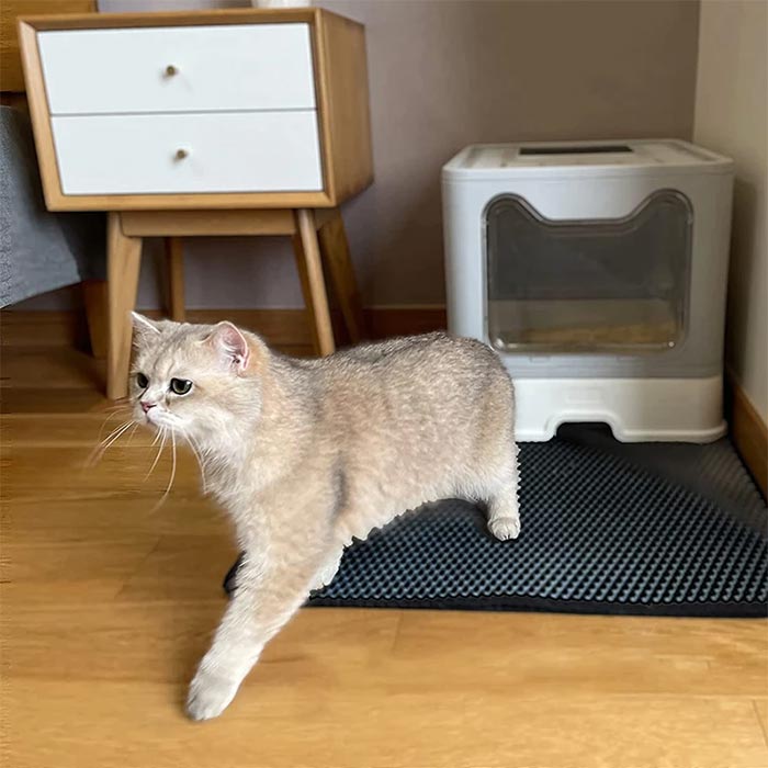 LitterMat, mata pod żwirek dla kota, która wyłapuje piasek - Image 2