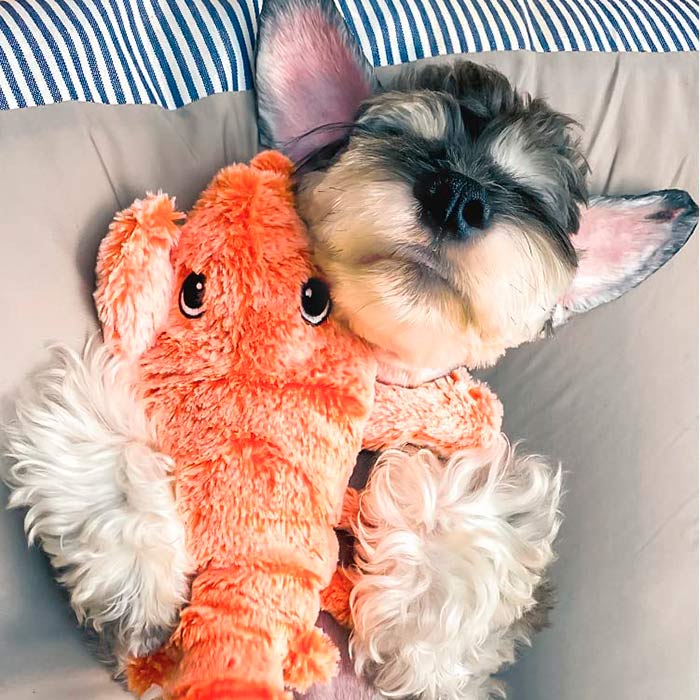 LobsterToy, interaktywna zabawka dla zwierząt w kształcie homara - Image 3