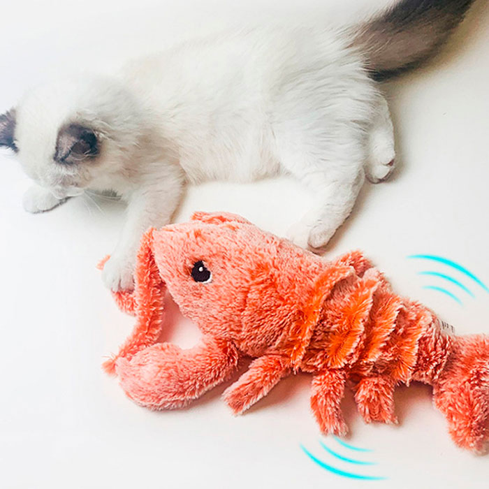 LobsterToy, interaktywna zabawka dla zwierząt w kształcie homara - Image 9