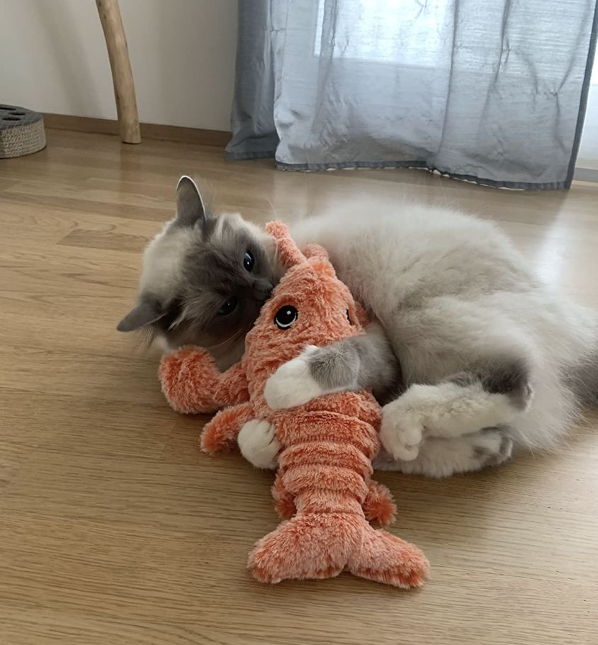 LobsterToy, interaktywna zabawka dla zwierząt w kształcie homara - Image 10