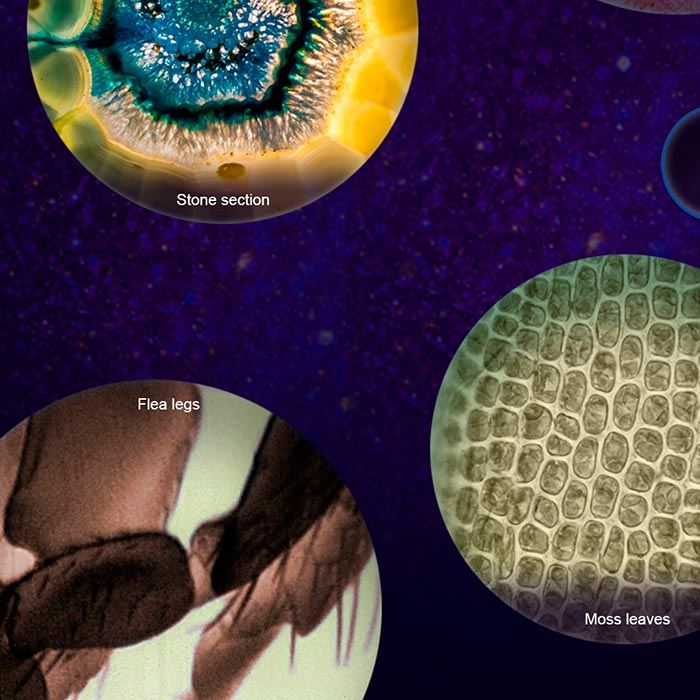 MicroscopeKit, przenośny mikroskop dla dzieci - Image 9