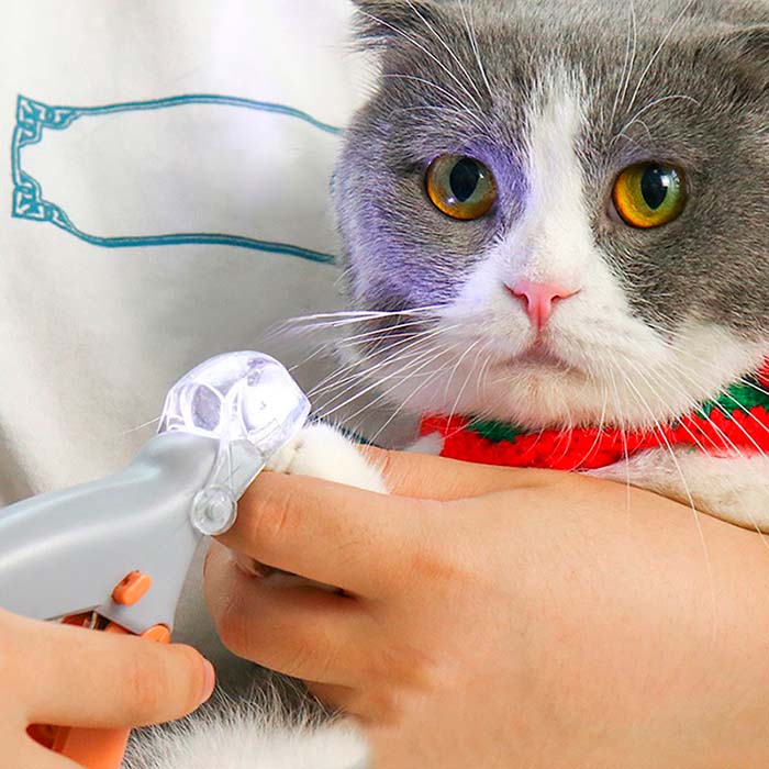 PawGloTrim, obcinacz do pazurów z lampą LED - Image 7