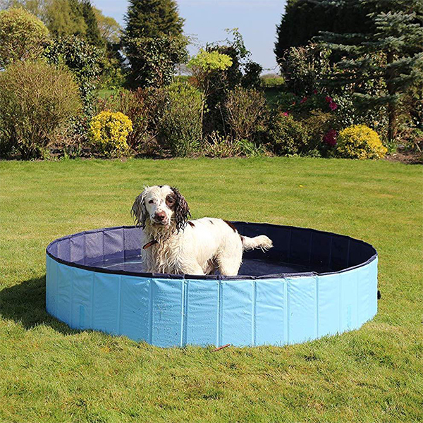 PawlyPool, składany basen dla dzieci i zwierząt - Image 2