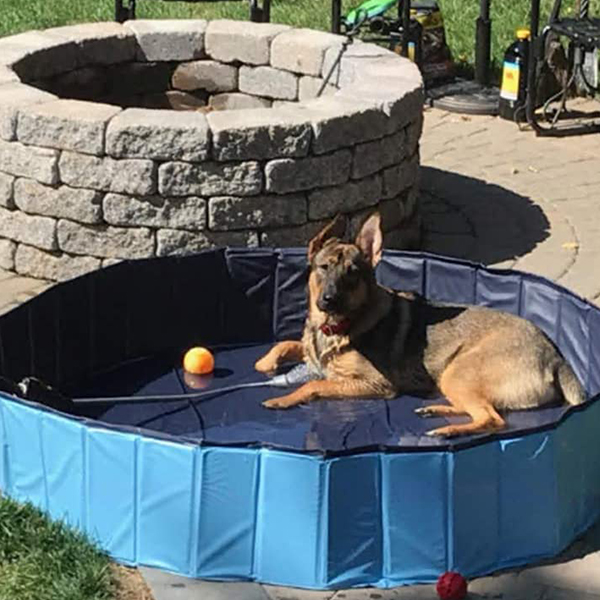 PawlyPool, składany basen dla dzieci i zwierząt - Image 3
