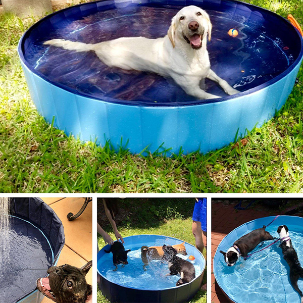 PawlyPool, składany basen dla dzieci i zwierząt - Image 5