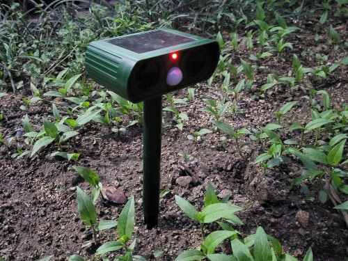 RepellentSensor, zasilany energią słoneczną odstraszacz zwierząt i szkodników ogrodowych - Image 10