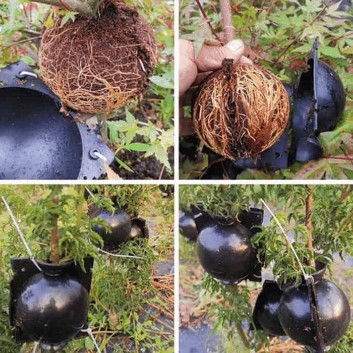 RootBall, narzędzie do udanego rozmnażania roślin (2 szt.) - Image 5