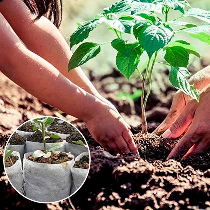 SeedBags, biodegradowalne torby do sadzenia i hodowania roślin (100 szt.) - Image 7