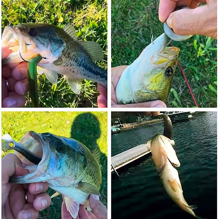 SoftLures, przynęty na ryby (5 sztuk) - Image 6