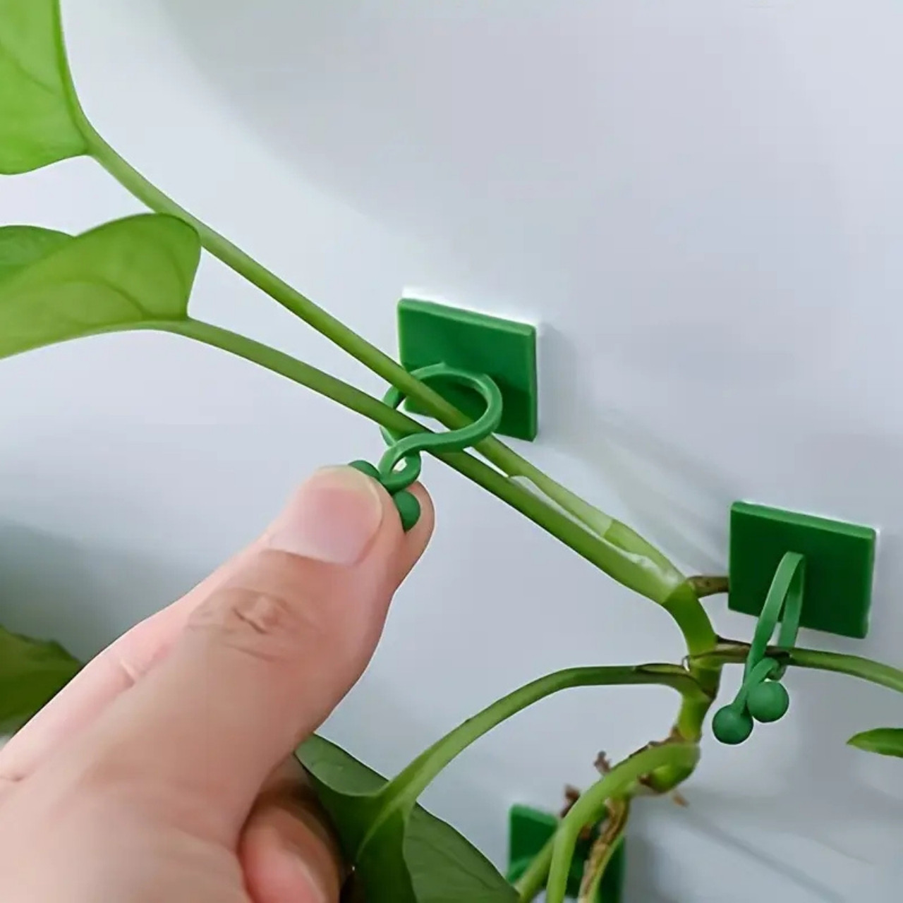 Vines, samoprzylepne uchwyty do roślin i pnączy (100 sztuk) - Image 3