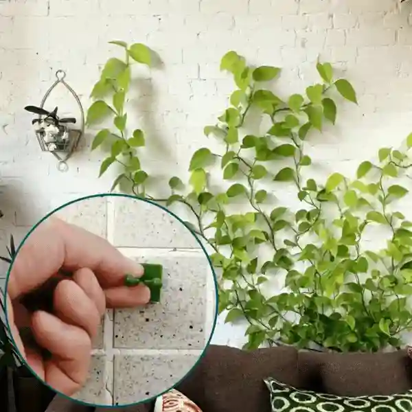 Vines, samoprzylepne uchwyty do roślin i pnączy (100 sztuk) - Image 9